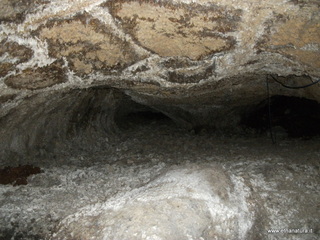 otta Petralia-17-03-2013 10-16-33